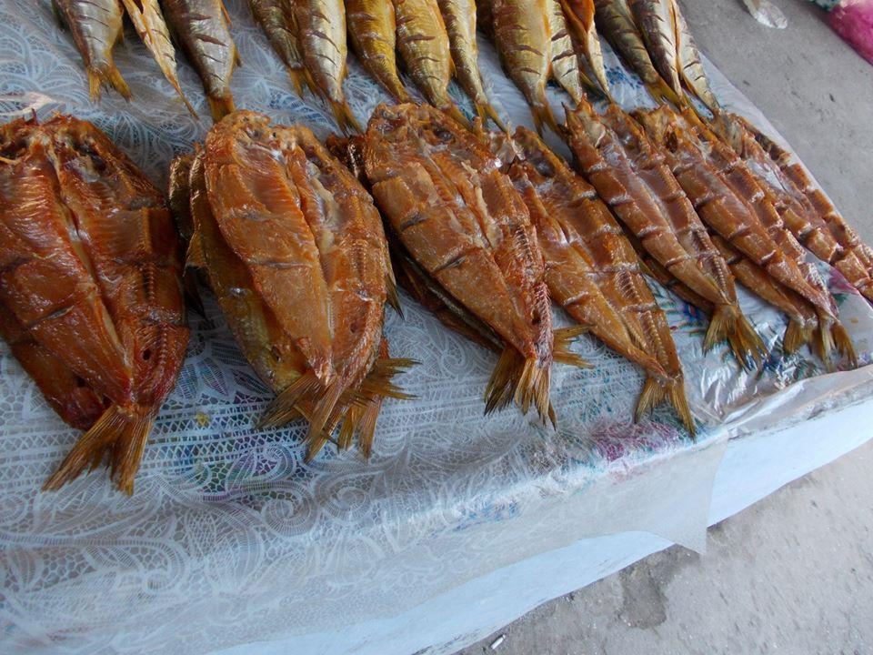 yamy - 10108454429184991483601585814163n.jpg